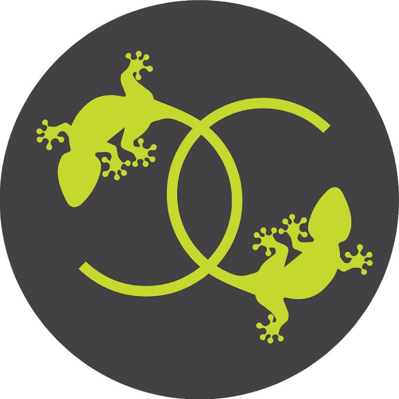 Reptile Enthusiast And Breeder