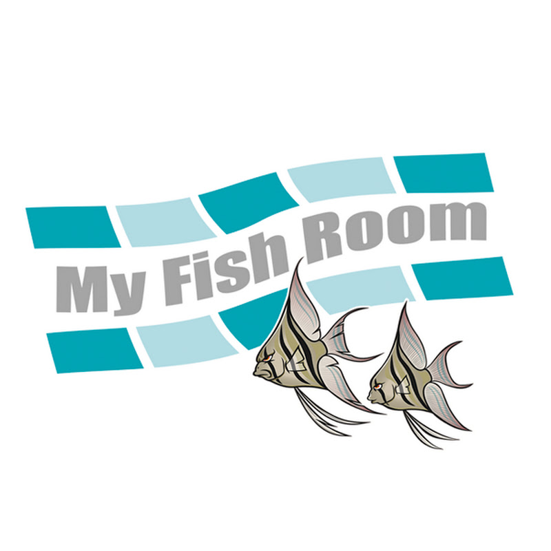 My Fish Room
