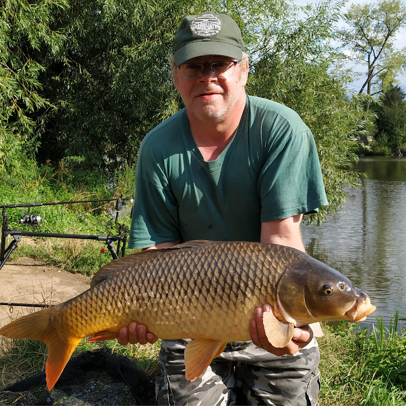 Tondys carp