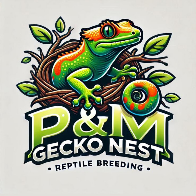 PakerSzopTV