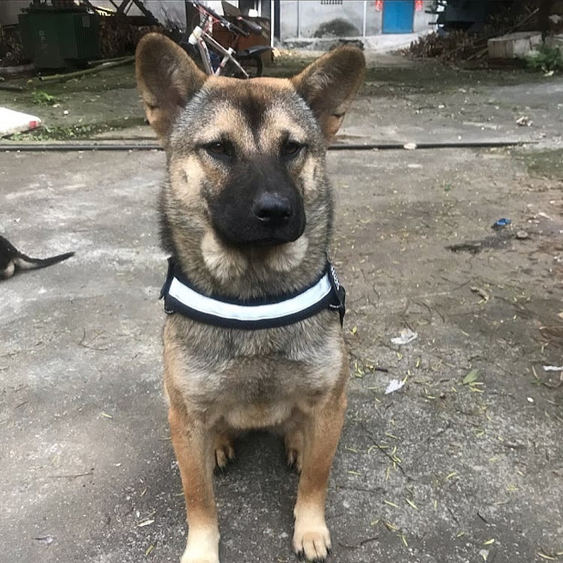 Haiyan