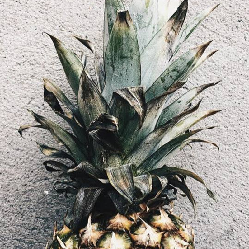 pineapple