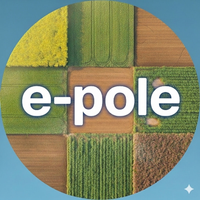 E-pole