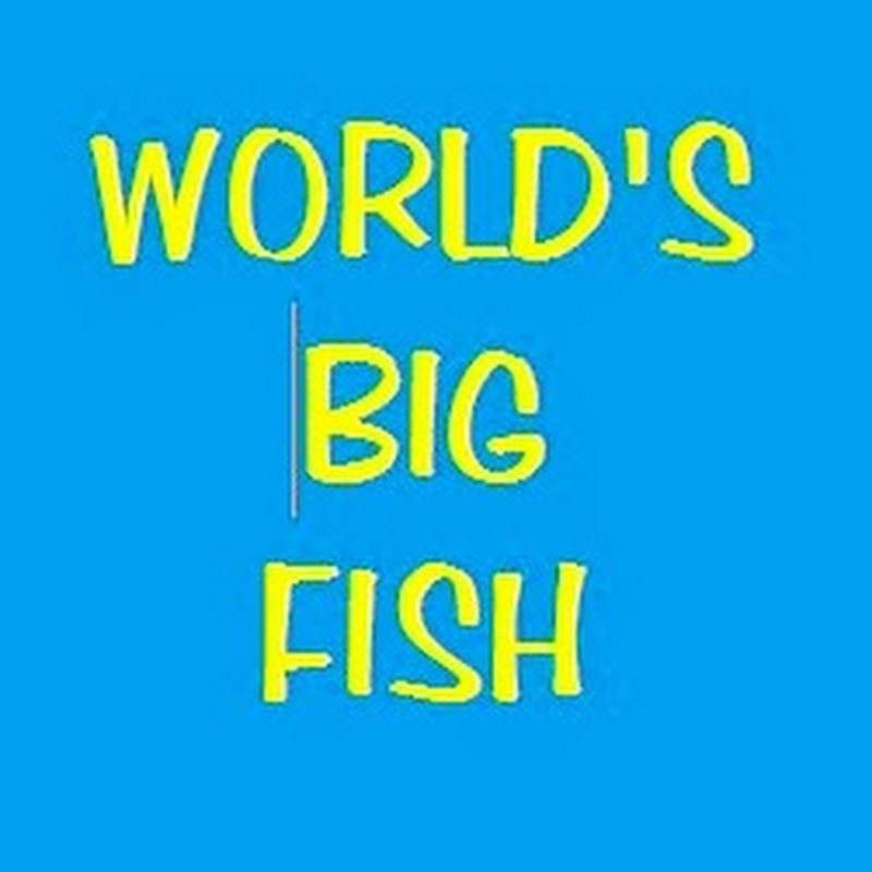 Big Fish Of The World
