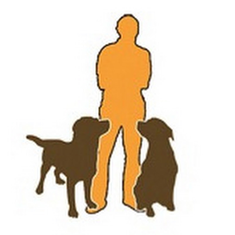 Hundeschule & Hundetagesstätte