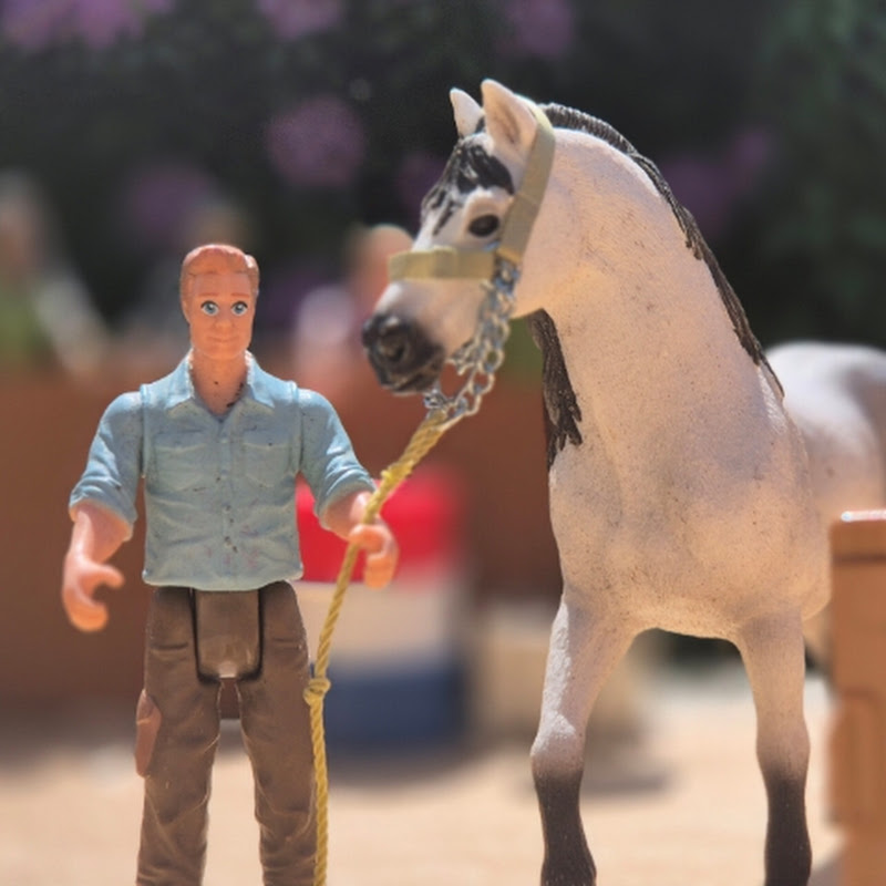 Schleich_ Welt