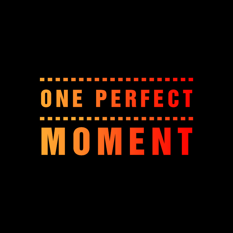 One Perfect Moment
