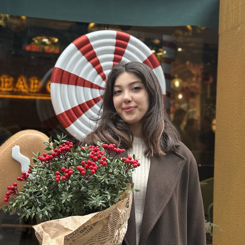 İrem Özdemir