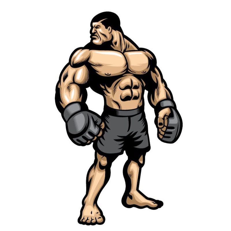 MMA Highlights
