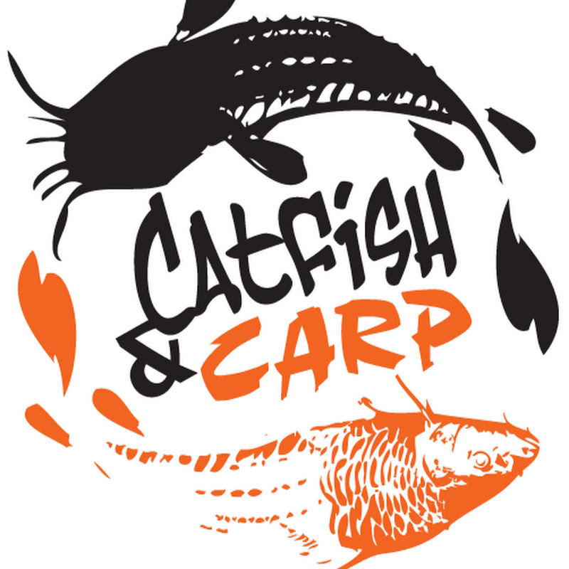 Catfish And Carp