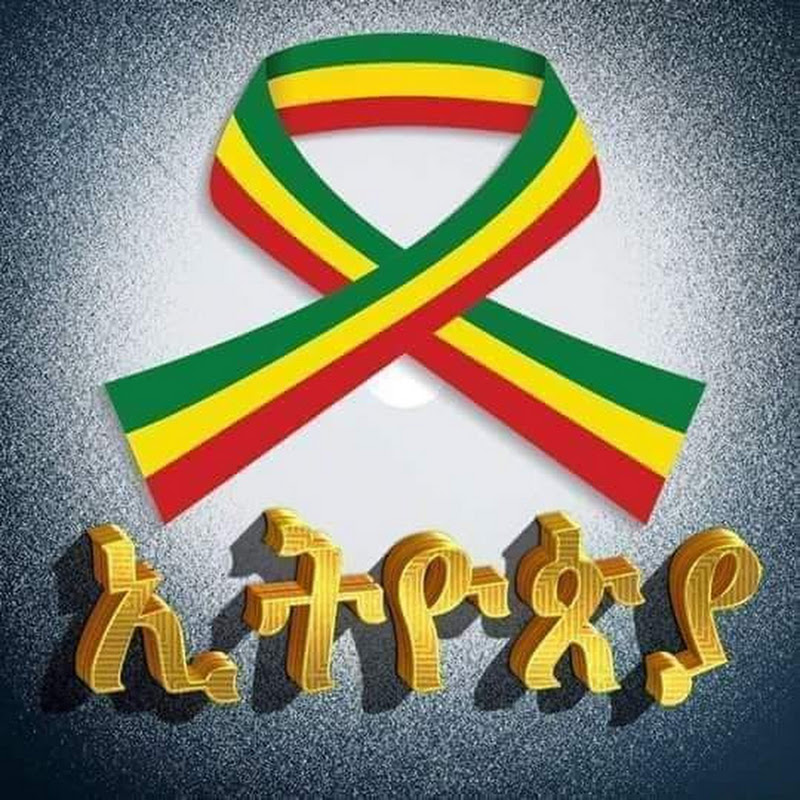 ጠቃሚ መረጃ - Tekami Mereja