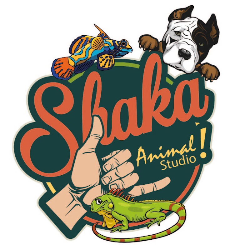 Shaka Animal Studio