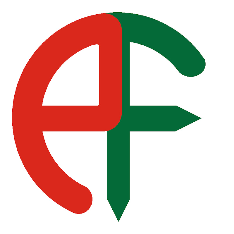 Portuguese Flâneur