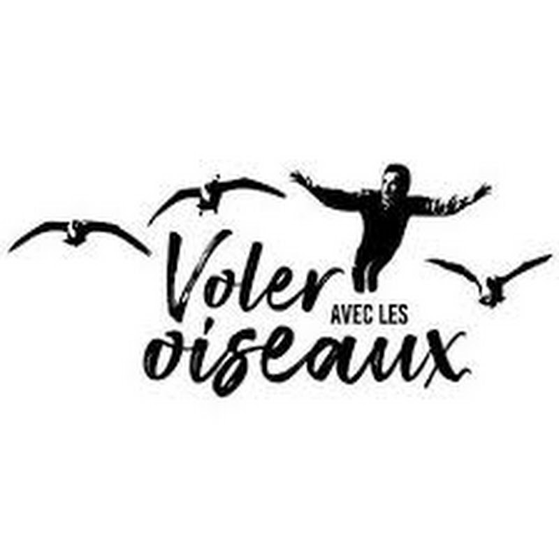 Voler Avec Les Oiseaux