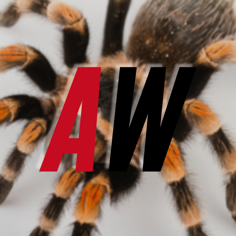Arachnopark World