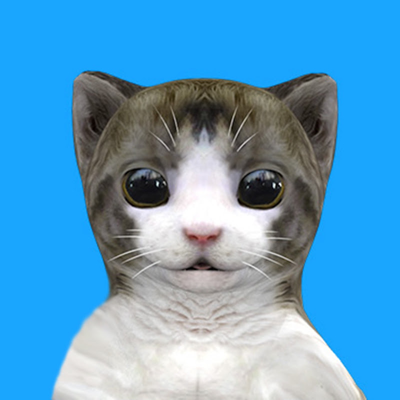 VIDICAT