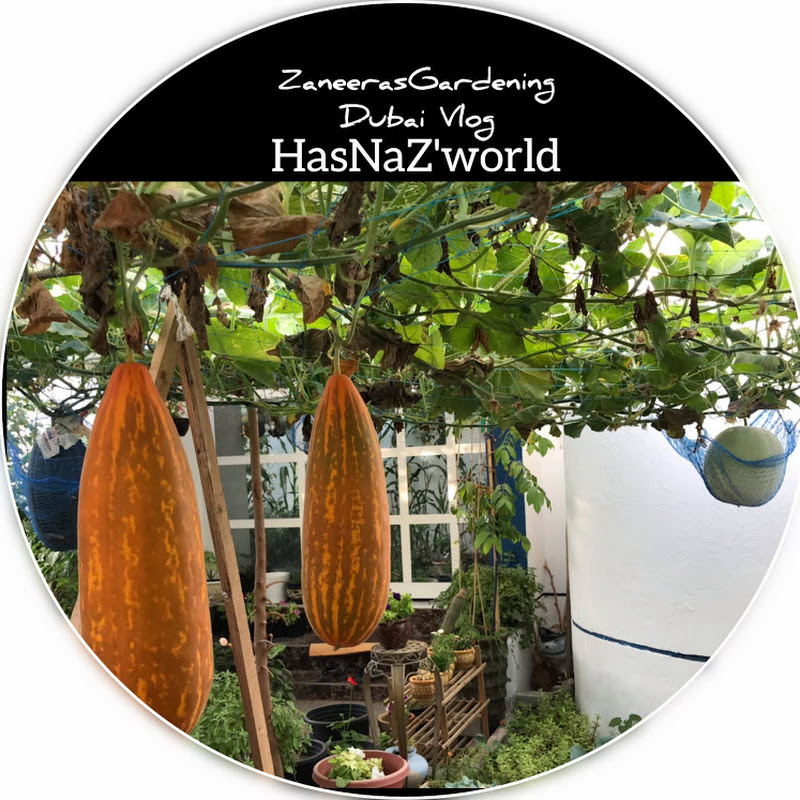HasNaZ'world Gardening&DubaiVlog