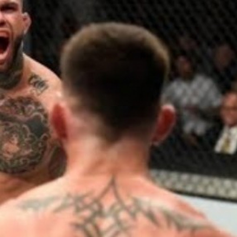 Kings MMA Fights !