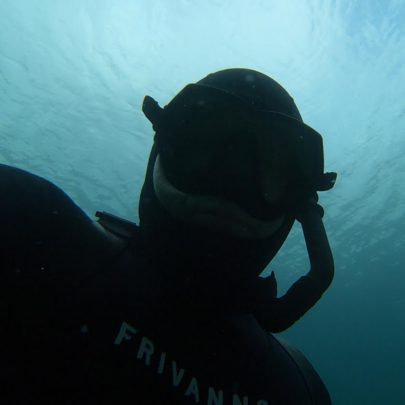 P-ASK Spearfishing