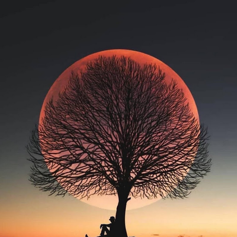 Planeta Tierra