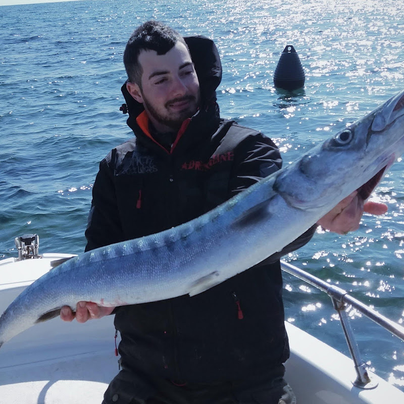 ? Daniele Angler Carloni ?