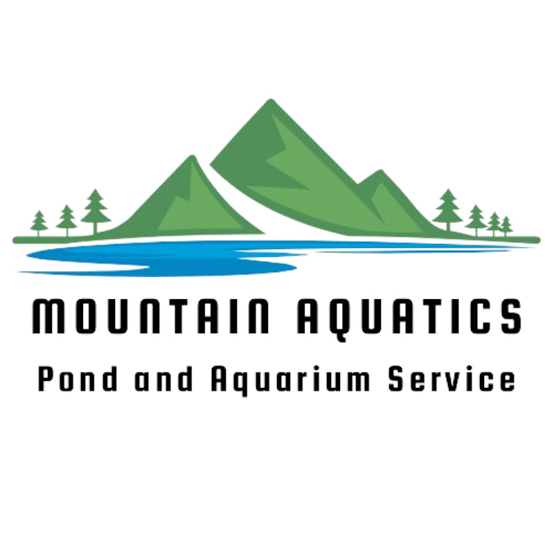 Mountain Goldfish